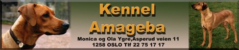 Amagebas Kennel