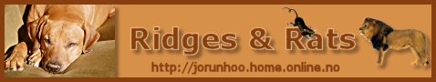 Ridges and Rats