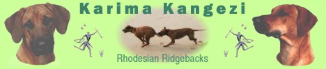 Karima Kangezi Rhodesian Ridgebacks