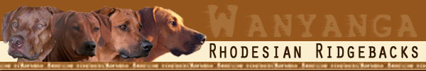 WANYANGA Rhodesian Ridgebacks