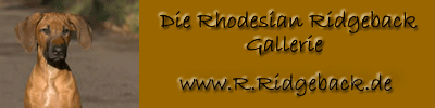 Die Ridgeback Gallerie