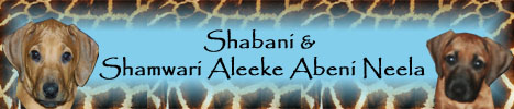 Shabani & Shamwari Aleeke Abeni Neela