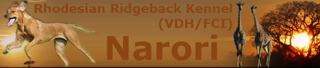 Rhodesian Ridgeback Kennel Narori