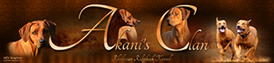 Rhodesian Ridgeback Kennel Akani's Clan VDH/DZRR