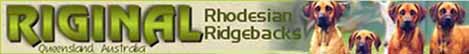 Riginal Rhodesian Ridgebacks