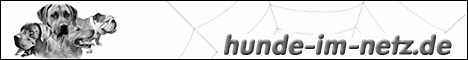Hunde im Netz